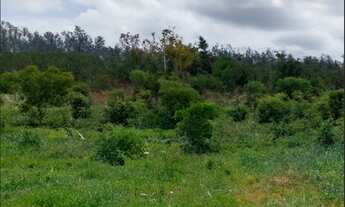 Imagem: Terreno de 6 mil m² em Campo Formoso