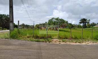 Imagem 2: Terreno plano, pé na areia com 20.000m² - Ilhéus / Bahia