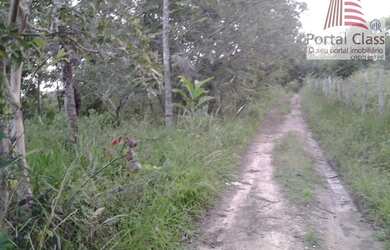 Imagem 10: CÓD.:1-528 - Sítio escriturado por apenas R$ 250 mil- Área: 22,50 TAREFAS