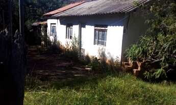 Imagem 4: FAZENDA DE 164,5 HECTARES