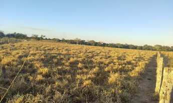 Imagem 4: 900 Alqs Boa Água Argila Logística e Terra Região Dianópolis TO