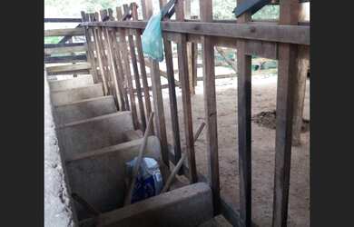 Imagem 2: Fazenda de 18 ha em Passa Tempo