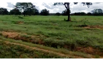 Imagem 3: 120 Alqs Dupla Aptidão Ótima em Tudo Próximo Jaú d TO