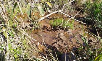 Imagem: Terreno de 10 ha em Oliveira