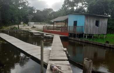 Imagem 4: Vendo Terreno com Casa, Balneário e Plantações de Açaí