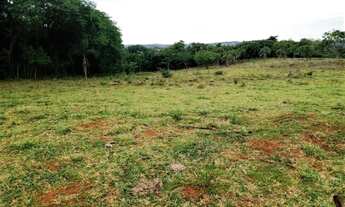 Imagem 4: Sítio no Município de Apucarana/PR