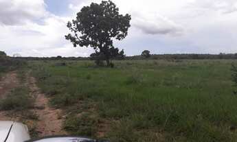 Imagem: 516 Alqs Arrendamento Disponivel Pra Soja