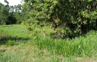 Imagem 4: Terreno Comercial em Itacolomi em Montenegro – 675