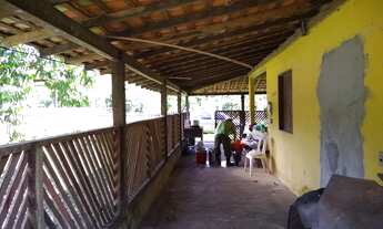 Imagem 5: Açaizal a 30 km de Castanhal por 500 mil reais 100 hectares, uns 15 mil pés de açaí