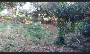 Imagem 6: Chácara Chácara com venda por R$16.000.000