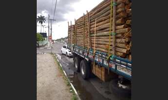 Imagem: VENDO ESTACAS SABIÁ