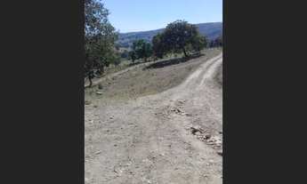 Imagem 6: Chácara de 5 Alqueires em Varjão