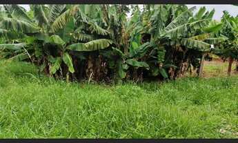 Imagem 5: Faxinal chácara troco por carro chácara 5.600 metros a 1 km Mauá da serra PR