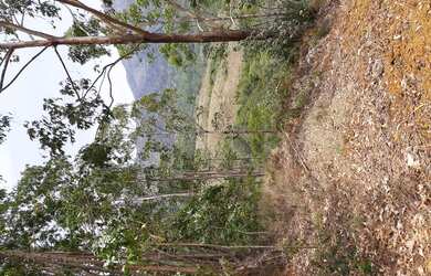 Imagem 2: Sítio em Iúna, perto da divisa ES MG