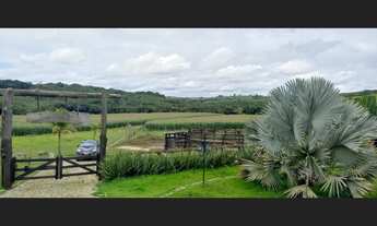 Imagem 2: Fazenda de 420 há em Oliveira