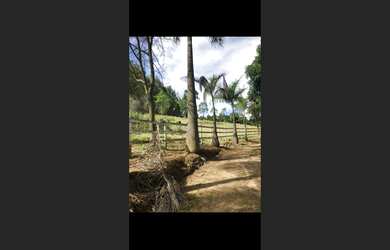 Imagem 7: Fazendinha de 18 há em Passa Tempo MG