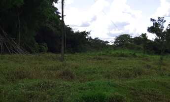 Imagem 4: Fazenda do Município de Uberaba