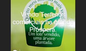 Imagem: Vendo Terrenos comerciais na grande Próspera