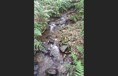 Imagem 3: Sítio em Morro Reuter com 13,5 hectares