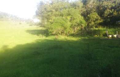 Imagem 5: Fazenda de 22 ha em Carmopolis de Minas