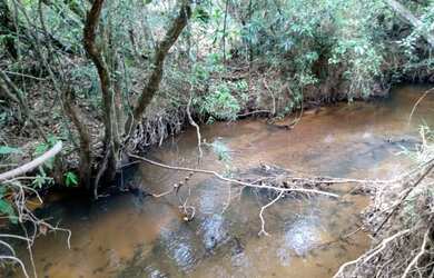 Imagem 7: Terreno de 8 há em Itaguara MG