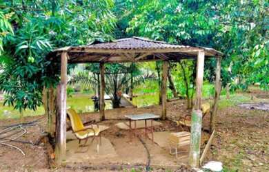 Imagem 3: Sitio em fundao Fazenda / sítio com 2 dormitórios