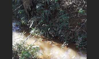 Imagem: Fazenda de 40 ha em Oliveira