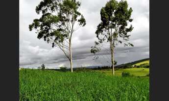 Imagem 3: Fazenda em Brejoes