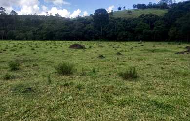 Imagem 5: Terreno de 13 há em Passa Tempo MG