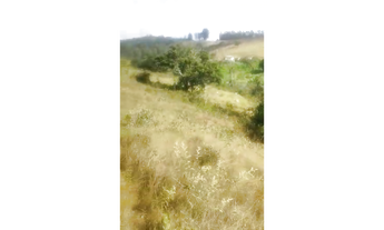 Imagem 6: Fazenda de 40 ha em Oliveira