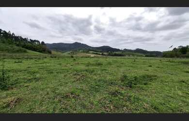 Imagem 7: Chácara a Venda 10.000 m² com Casa 1 Dorm. Riacho, Lagoa a 30 min. de Agrolândia SC