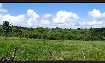 Imagem 5: Excelente fazenda em Araçás