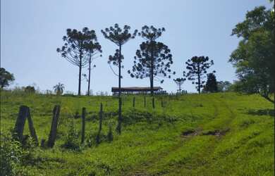 Imagem 3: ???????????? FAZENDA À VENDA EM PALMITAL - MARQUINHO, PR ????????????