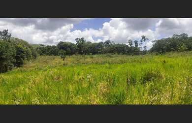 Imagem 13: Excelente fazenda para investimento