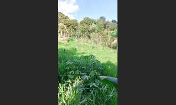 Imagem 7: Lotes com 250 m²