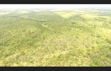 Imagem 6: 287 Alqs Bruta Dupla Aptidão Novo Acordo TO