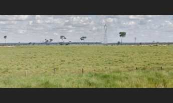 Imagem 2: Fazenda Proximo a Porto Velho RO