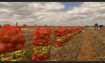 Imagem 5: HIPER FAZENDA NA BAHIA