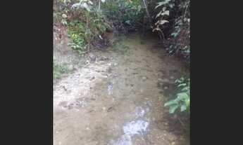 Imagem 3: 62 Alqs Plana de Cultura e Planta Toda Região Colinas do Sul GO