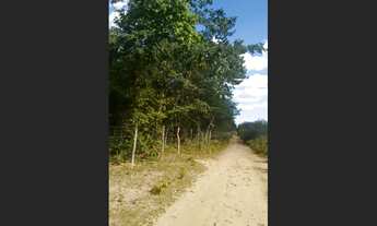 Imagem 7: TERRENO MUITO BOM