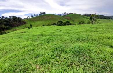 Imagem 3: Fazenda de 116 há em Barbacena MG