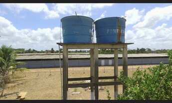 Imagem 2: 3 galpão pra granja 75 mil frangos em pleno funcionamento poço 250 hectares