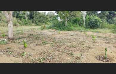 Imagem 2: Vendo Chácara de 5.000m² com uma Casa de 110m² em Barra do Choça