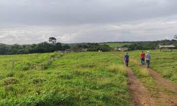 Imagem: R$8 milhões fazenda com 200 alqueires com