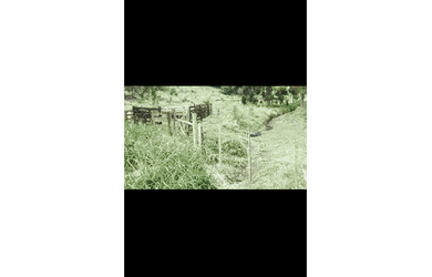 Imagem 3: Chacara a venda em Rio do Santo , Cascavel