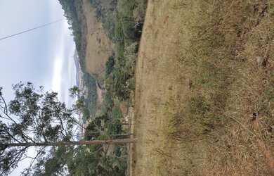 Imagem 6: Terreno de 34 há na região de Barbacena mg