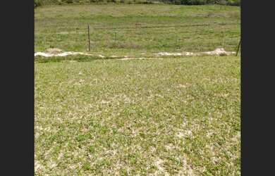 Imagem 5: Fazenda de 10 ha em Carmo da Mata