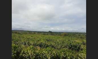 Imagem 4: Fazendinhas Paraguaçu do Catolé