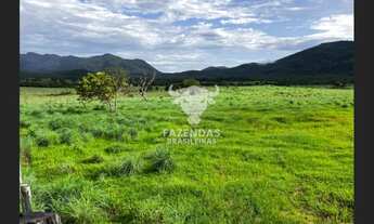 Imagem 7: FAZENDA PARA PECUÁRIA DE 563 ALQUEIRES (4.84) EM MONTE ALEGRE DE GOIÁS – GO