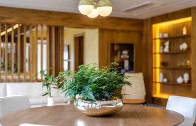 Imagem 2: OPUS ARAGUAYA- MARISTA